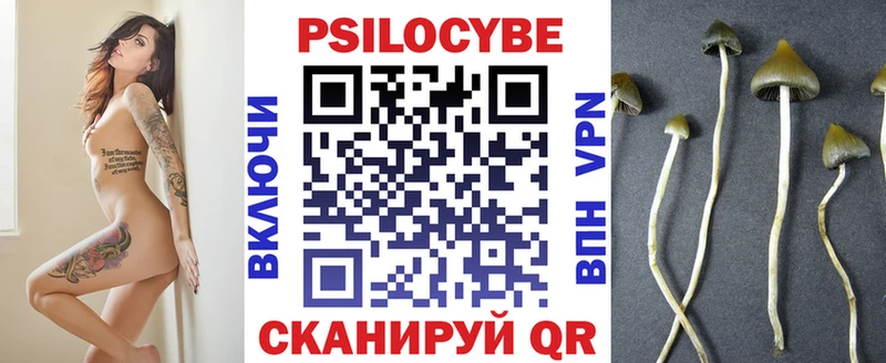 blacksprut ссылки  где найти   Чистополь  Псилоцибиновые грибы Cubensis 